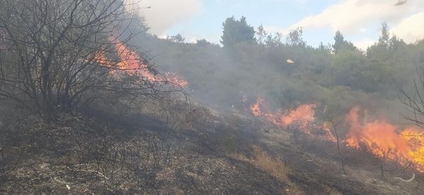 Πυρκαγιά στο Νέο Λεβίσι