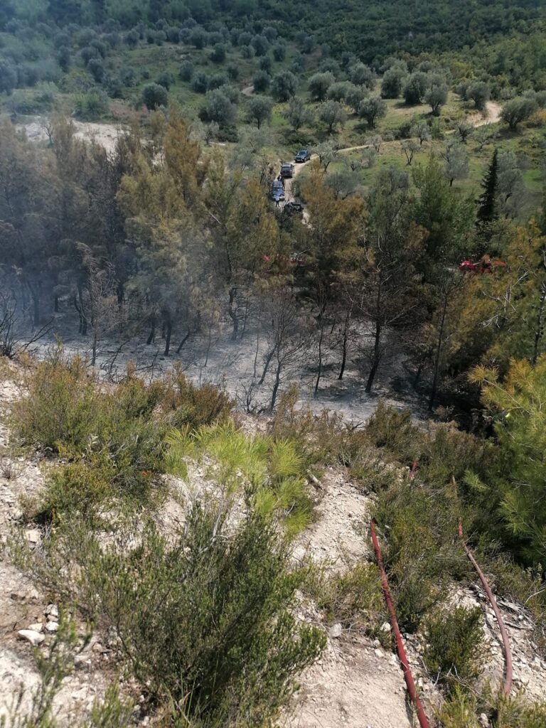 Πυρκαγιά στο δάσος Μαυροσουβάλας