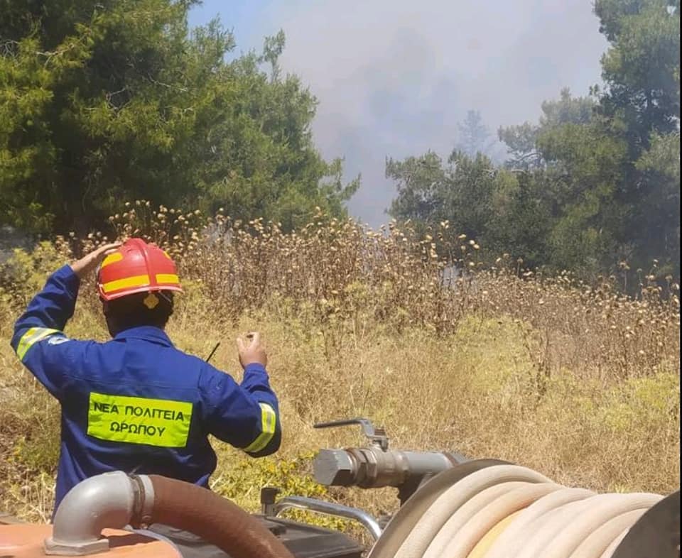 Πυρκαγιά στο Μαρκόπουλο θέση Βοσκοπούλα