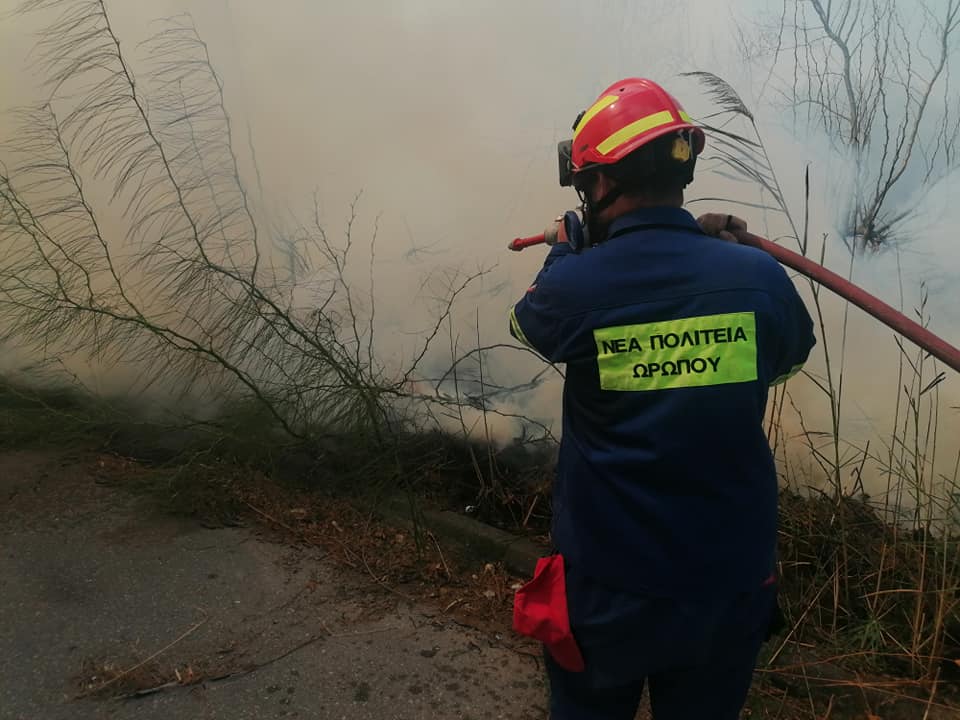 Πυρκαγιά στον Άγιο Κωνσταντίνο Ωρωπού