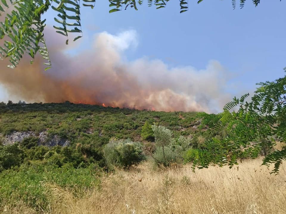 Πυρκαγιές σε πολλά σημεία του Δήμου Ωρωπού