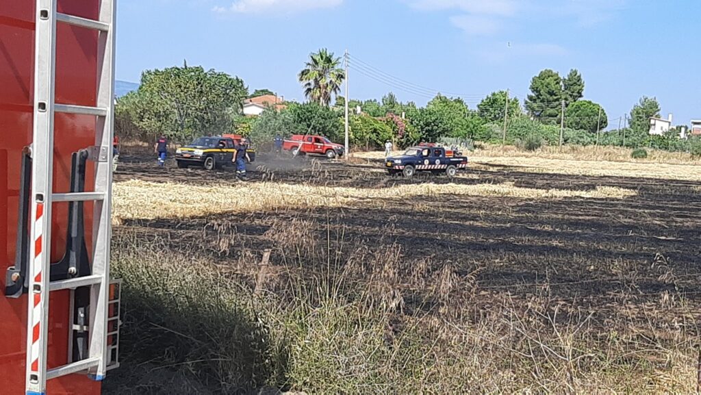 Πυρκαγιά στον Κάμπο Ωρωπού