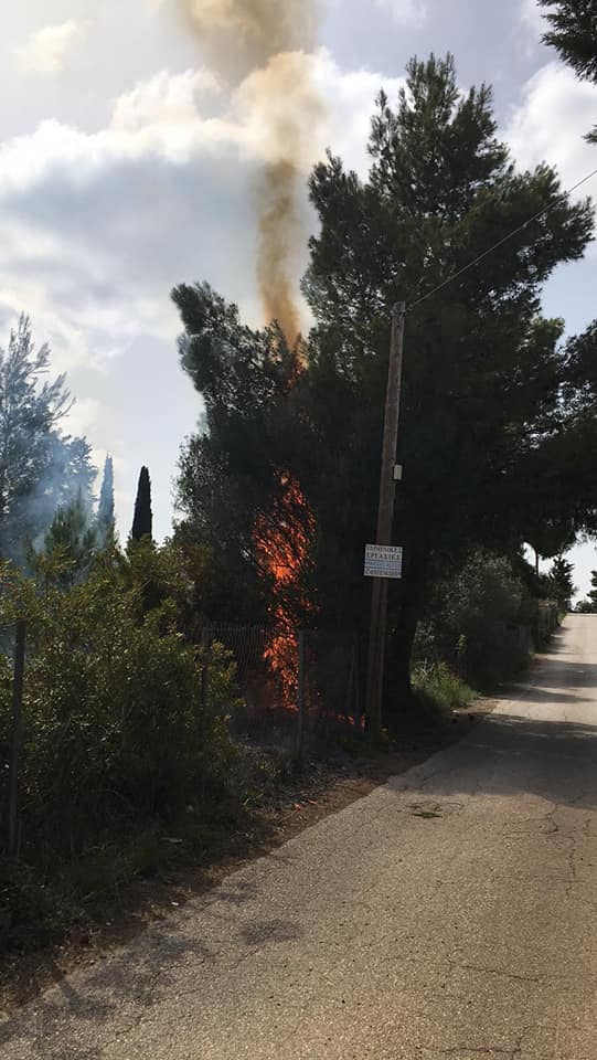 Πυρκαγιά Στη Νέα Πολιτεία Ωρωπού