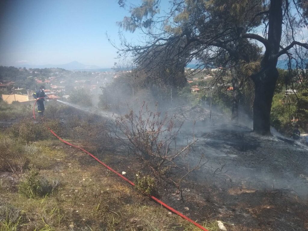 Πυρκαγιά πλησίον πάρκο Μαυρίδη