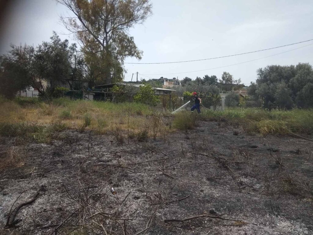 Πυρκαγιά στον Κάμπο Ωρωπού