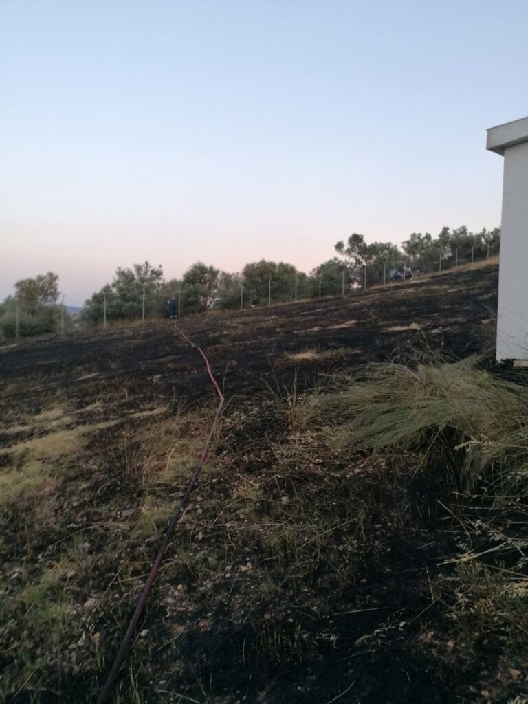 Πυρκαγιά στο Μαδαρό Συκαμίνου