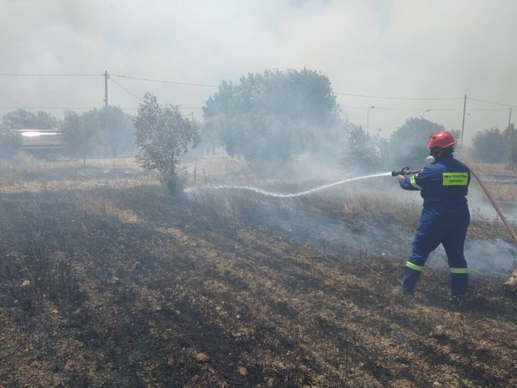 Πυρκαγιά σε Σχηματάρι και Βλαστό Καλάμου