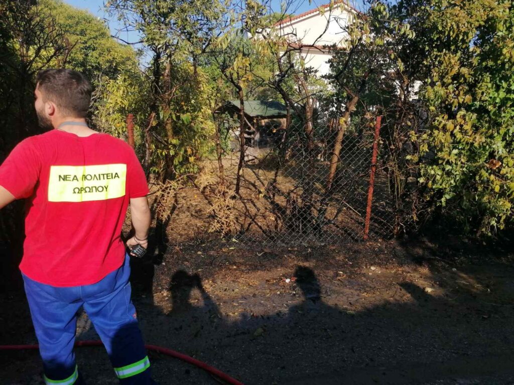 Πυρκαγιά θέση Πηγαδάκια Χαλκούτσι