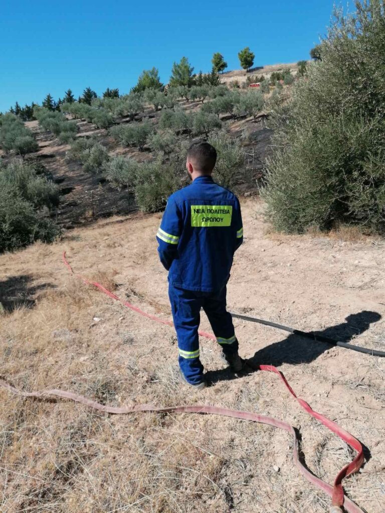 Πυρκαγιά στη θέση Κοκκινιές Συκαμίνου