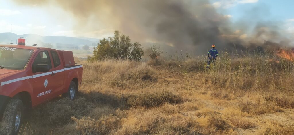 Πυρκαγιά στον Κάμπο Ωρωπού Πλησίον ΓΕΛ