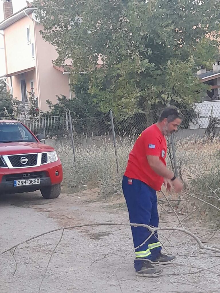Πτώση δέντρου πίσω από τον ΑΒ Βασιλόπουλο
