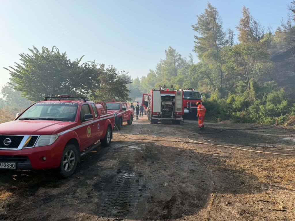 Πυρκαγιά στον Άγιο Ιωάννη Μαρκοπούλου Ωρωπού